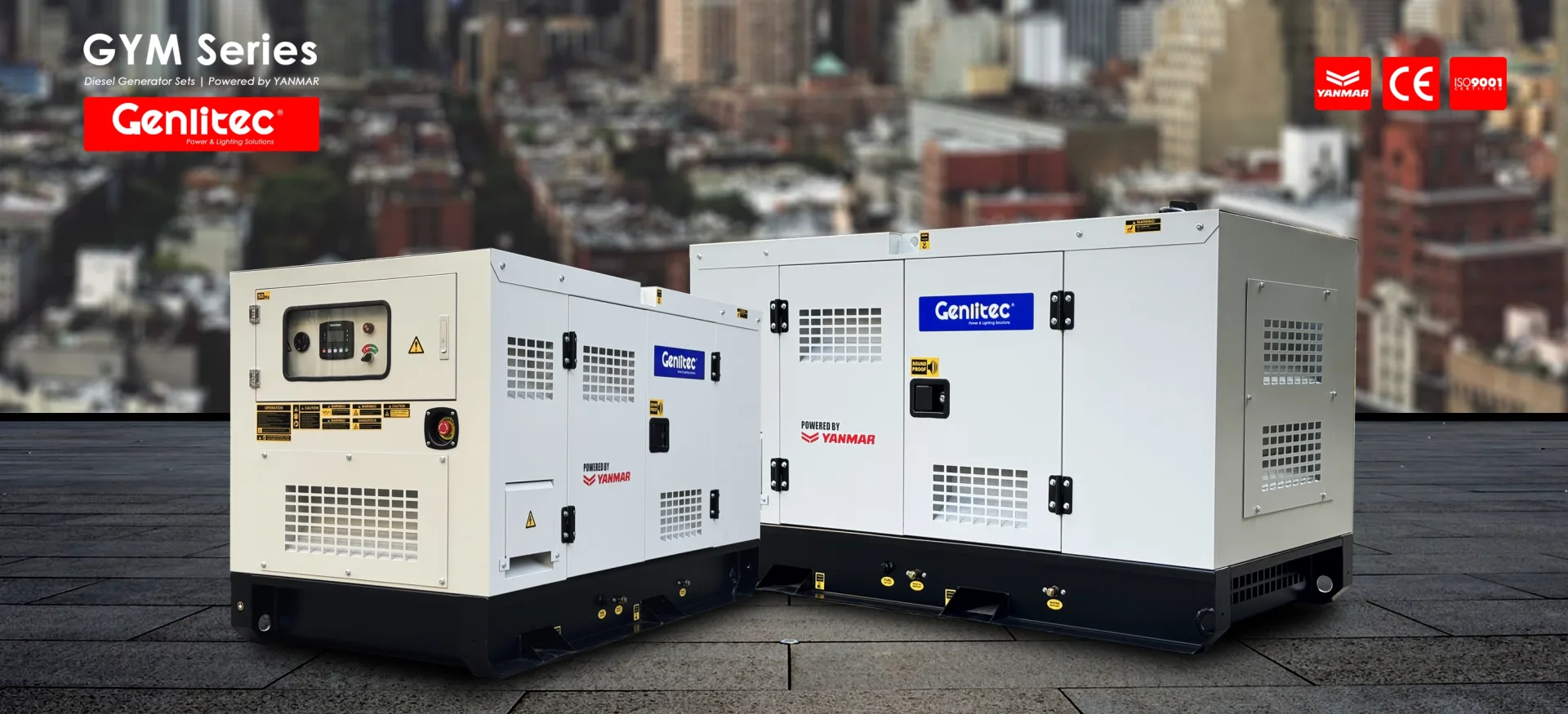 12kVA YANMAR diesel generator set GYM12D5 open type and GYM12S5 silent type